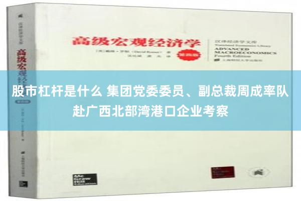 股市杠杆是什么 集团党委委员、副总裁周成率队赴广西北部湾港口企业考察