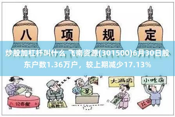 炒股加杠杆叫什么 飞南资源(301500)6月30日股东户数1.36万户，较上期减少17.13%