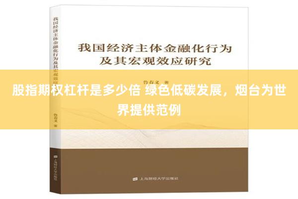 股指期权杠杆是多少倍 绿色低碳发展，烟台为世界提供范例