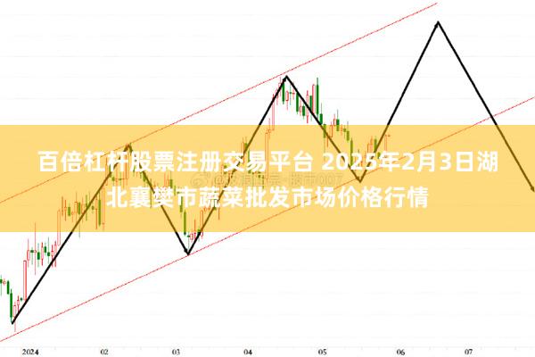 百倍杠杆股票注册交易平台 2025年2月3日湖北襄樊市蔬菜批发市场价格行情